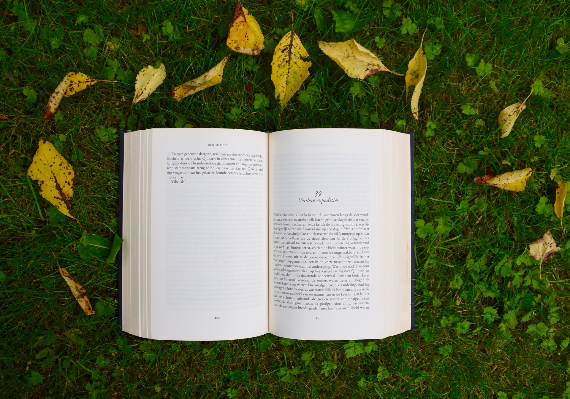 An image of an open book on the grass