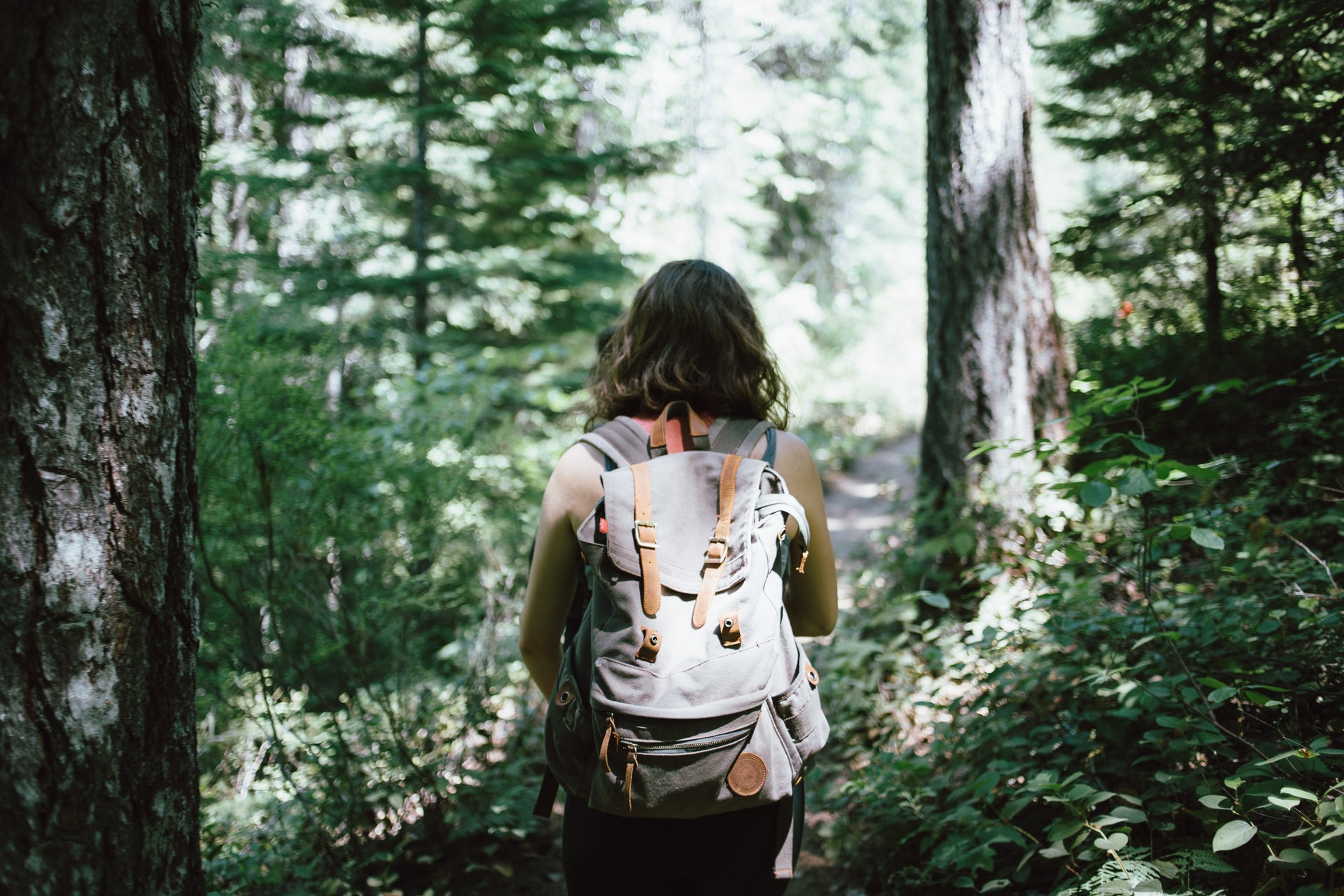 An image of the back of a woman wearing a big backpack walking through the woods